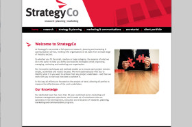 StrategyCo Website